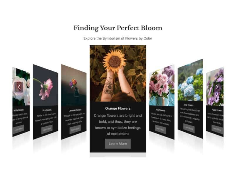 Coverflow Carousel with Content Cards